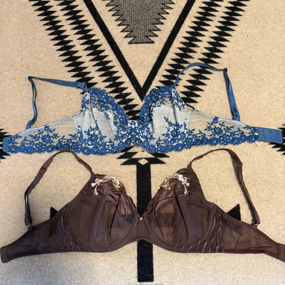 Wacoal Blue and Brown Full-Coverage Bras